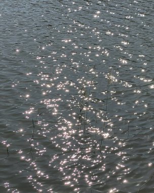 su yüzeyi ve dalgalanmalar