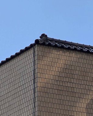 Bir binanın çatısı