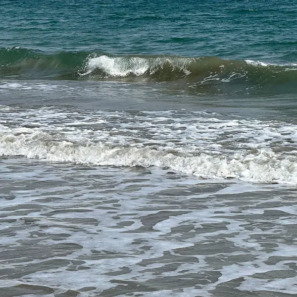 Sahildeki deniz dalgaları