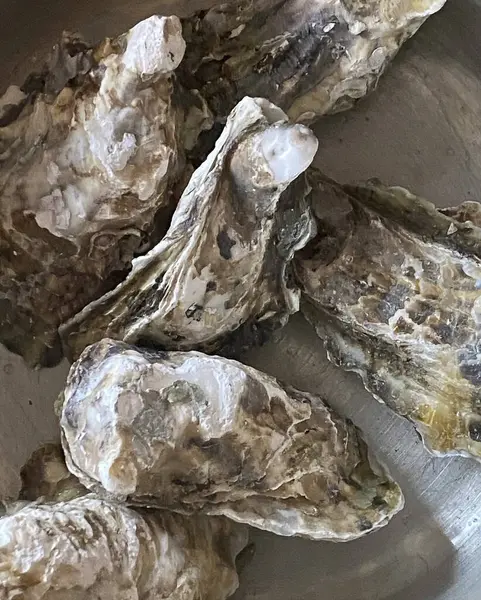 Siyah taş arka planda istiridye kasesi