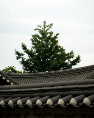 Şehirdeki eski bina.