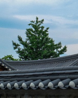 Parkın güzel manzarası