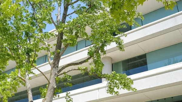 Şehrin modern binası