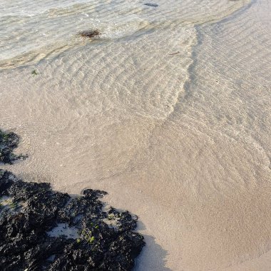 İsrail 'in kuzeyindeki Akdeniz kıyısında.