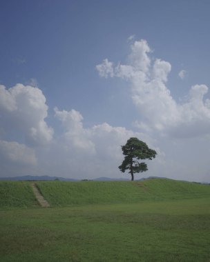 Ağacı ve bulutlu gökyüzü olan güzel bir manzara.