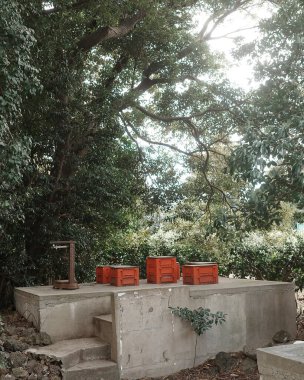 Şehir parkının güzel manzarası