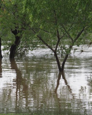 Parkta sel baskını