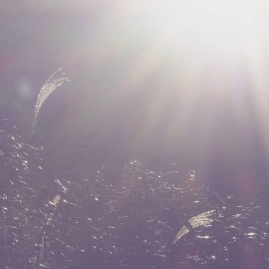 Karın soyut arkaplanı