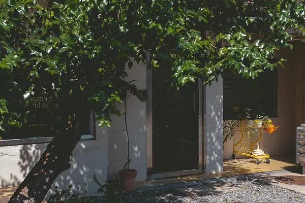 Şehrin güzel manzarası