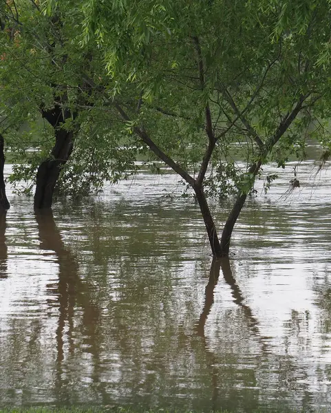 Parkta sel baskını