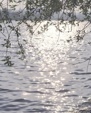 Su yüzeyinde su yansıması.