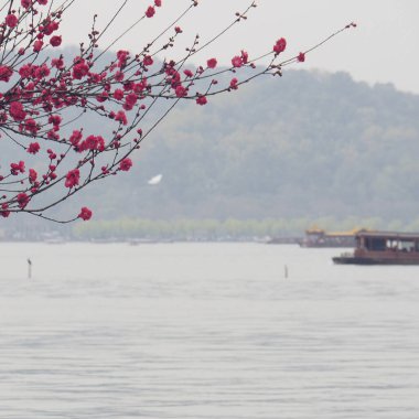 Güzel botanik fotoğrafı, doğal duvar kağıdı.