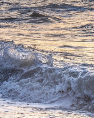 Deniz kıyısının güzel manzarası.