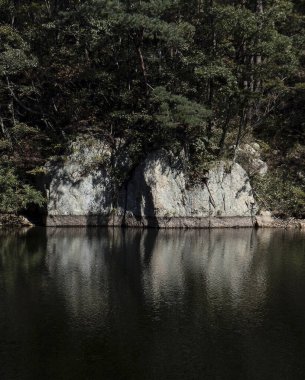 Ormandaki gölün güzel manzarası