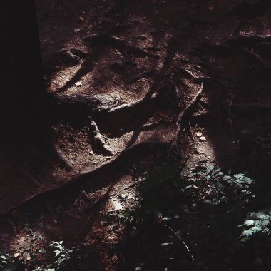 soyut arkaplan, doku, duvar kağıdı, desen,