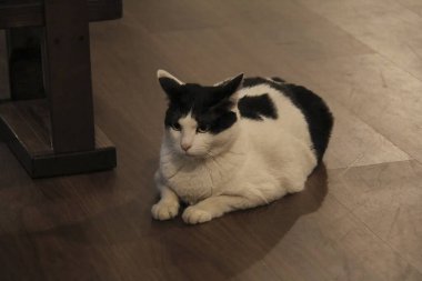 Doğa ve şehir manzarası 