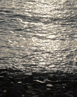 Doğa ve şehir manzarası 