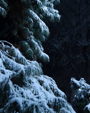 Doğa ve şehir manzarası 