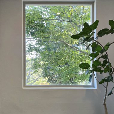 Doğa ve şehir manzarası 