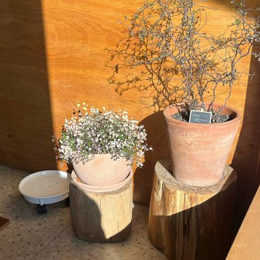 Doğa ve şehir manzarası 