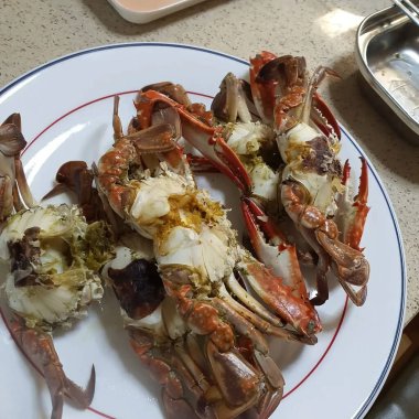 Doğa ve şehir manzarası 