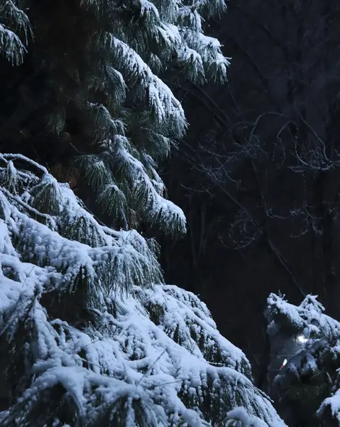 Doğa ve şehir manzarası 