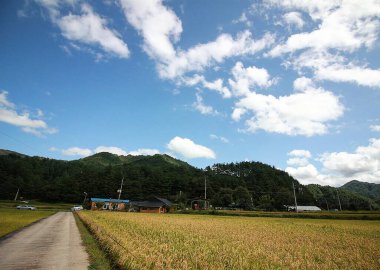 Doğa ve şehir manzarası 