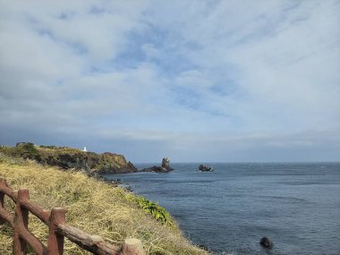 Doğa ve şehir manzarası 