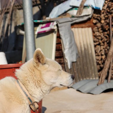 Doğa ve şehir manzarası 