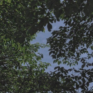 Doğa ve şehir manzarası 