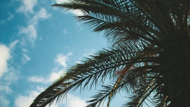 Doğa ve şehir manzarası 