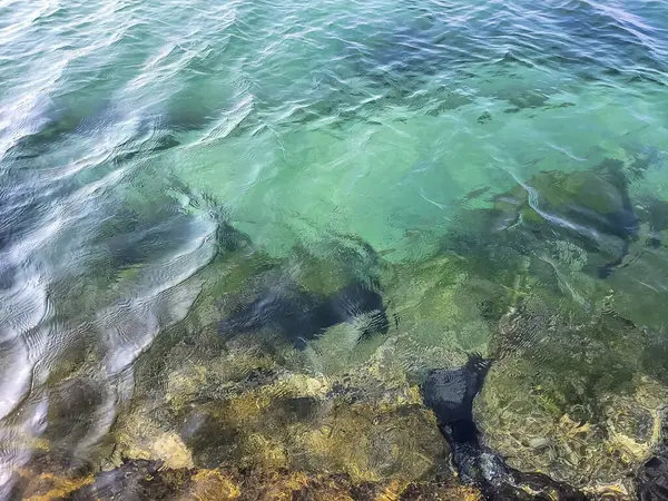 Doğa ve şehir manzarası 