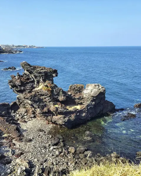 Doğa ve şehir manzarası 