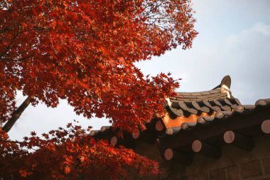 Doğa ve şehir manzarası 