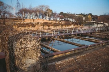 Doğa ve şehir manzarası 