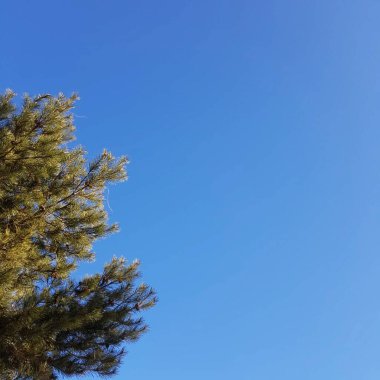 Doğa ve şehir manzarası 