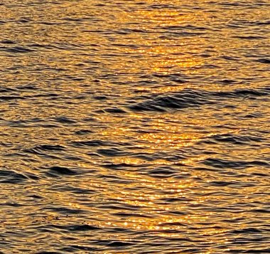 Doğa ve şehir manzarası 