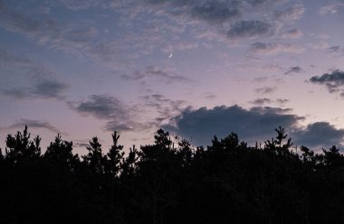 Doğa ve şehir manzarası 