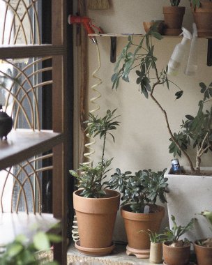 Doğa ve şehir manzarası 