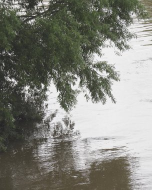 Doğa ve şehir manzarası 