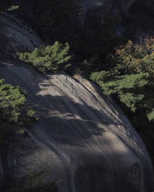 Doğa ve şehir manzarası 
