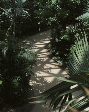 Doğa ve şehir manzarası 