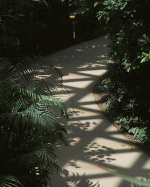 Doğa ve şehir manzarası 