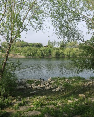 Doğa ve şehir manzarası 