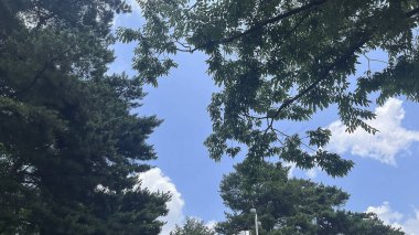 Doğa ve şehir manzarası 