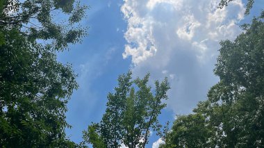 Doğa ve şehir manzarası 