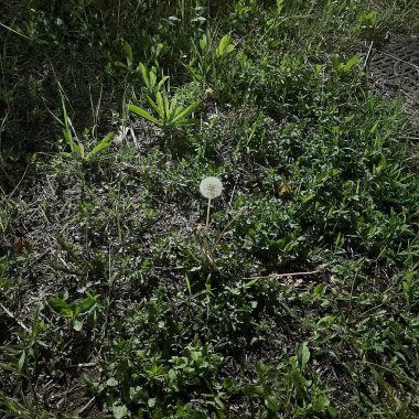 Doğa ve şehir manzarası 