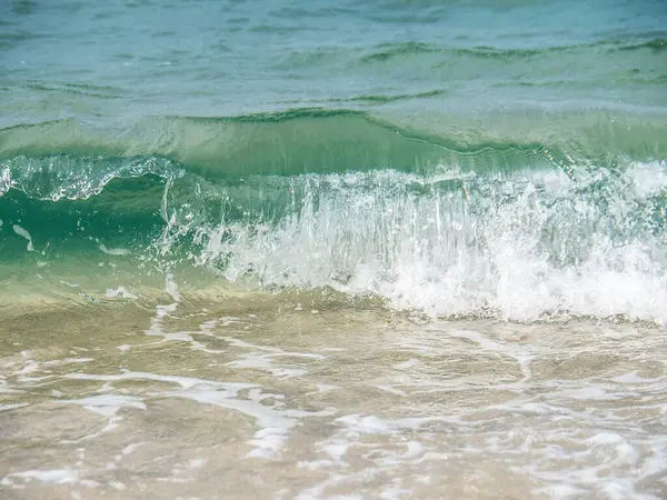 Doğa ve şehir manzarası 