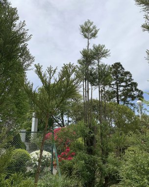 Doğa ve şehir manzarası 