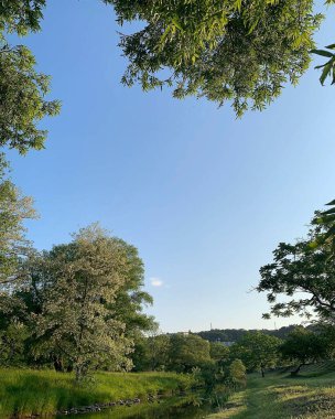 Doğa ve şehir manzarası 